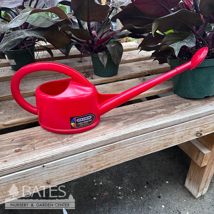 Dramm 2L Watering Can Red