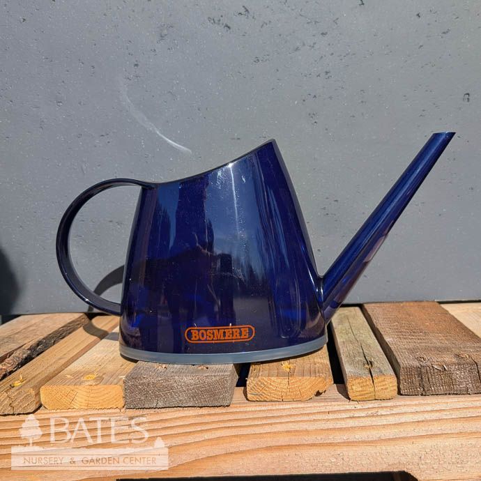 Watering Can 1.4L Translucent Dark Blue Bosmere