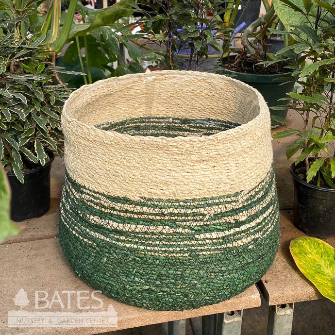 Pot Seagrass Handwoven 2-Tone Med 8.5x7 Ivory &amp; Green