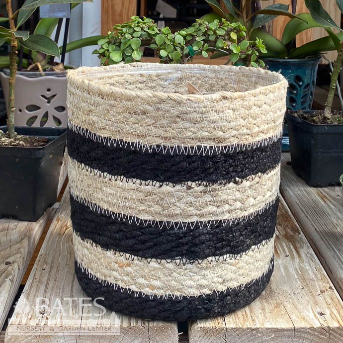 Pot Jute Rope Potcover Med 6x6 Ivory w/3 THICK Black Stripes
