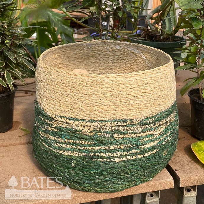 Pot Seagrass Handwoven 2-Tone Lrg 7x6 Ivory &amp; Green