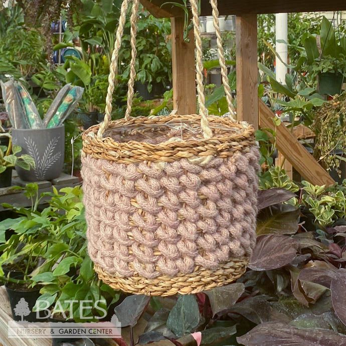 Pot Hanging Red/Pink Seagrass Sml 5.75x5.75