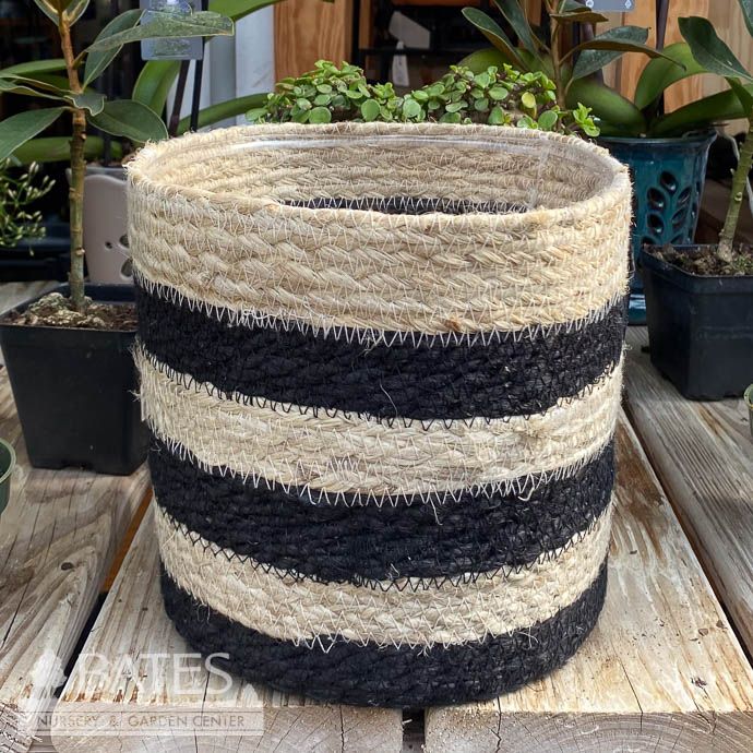 Pot Jute Rope Potcover Xlg 8x8 Ivory w/3 THICK Black Stripes