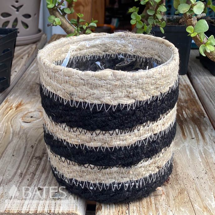 Pot Jute Rope Potcover Xsm 4.5x4.5 Ivory w/3 THICK Black Stripes