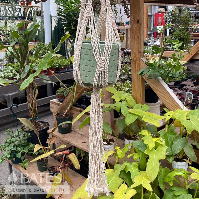 Macrame Hanger 47&quot; Simple Natural Cotton