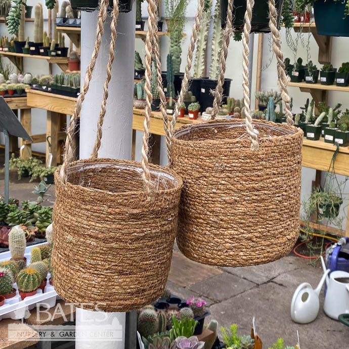 Pot Hanging Hogla Seagrass Brown Potcover Lrg 6x6