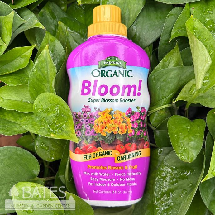 16oz Liquid Organic Super Bloom Booster Plant Food /Fertilizer Concentrate 1-3-1 Espoma x