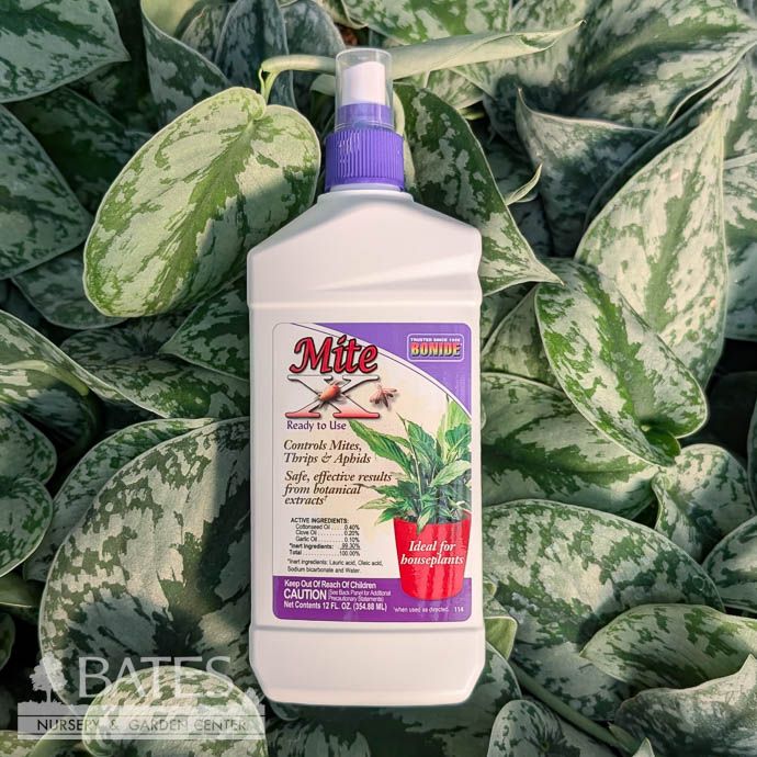 Mite X 12oz RTU Houseplant Insect Killer Miticide Bonide