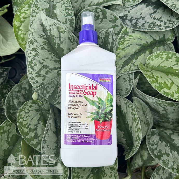 Insecticidal Soap 12oz RTU Houseplant Bonide