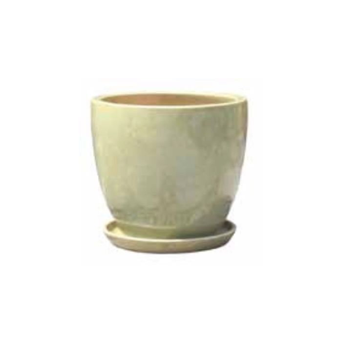 Pot Calliope Egg w/Saucer Med 11.5x11 Asst