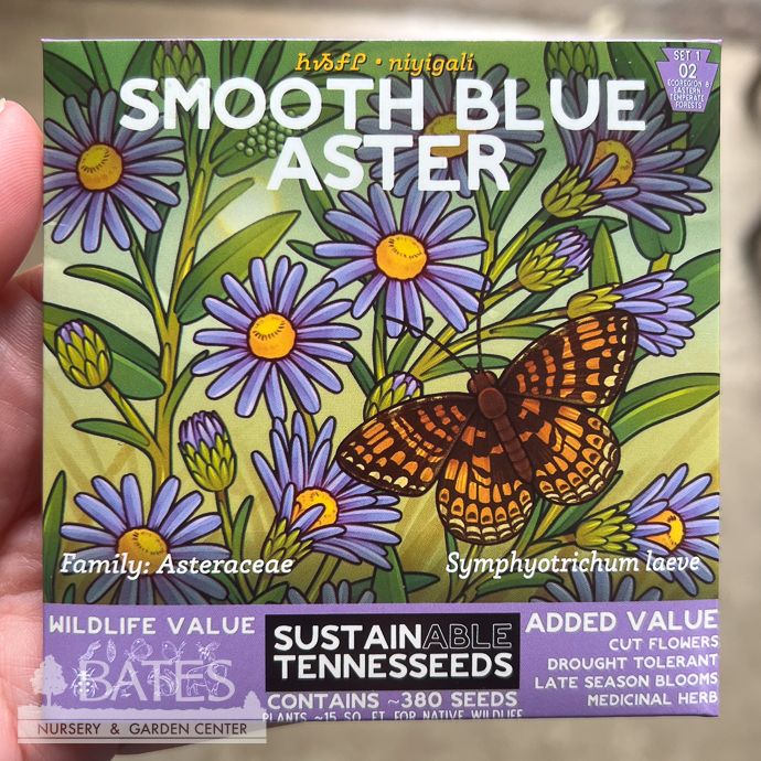 Seed Smooth Blue Aster /Symph. laeve - SustainAble TennesSeeds - Plant for a Change Native (R)