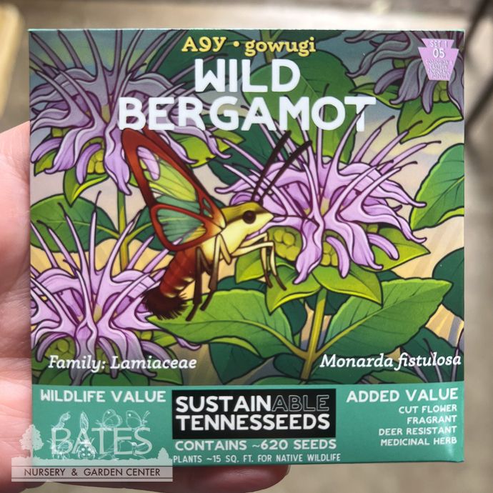 Seed Wild Bergamot /Monarda fistulosa - SustainAble TennesSeeds - Plant for a Change Native (TN)
