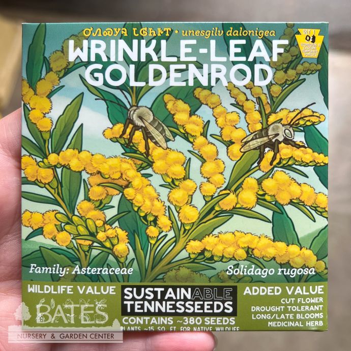 Seed Wrinkle-Leaf Goldenrod /Solidago rugosa - SustainAble TennesSeeds - Plant for a Change Native (TN)