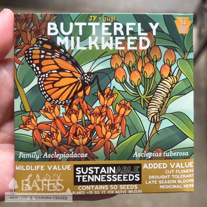 Seed Butterfly Milkweed /Asclepias tuberosa - SustainAble TennesSeeds - Plant for a Change Native (TN)