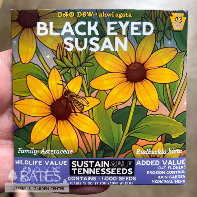 Seed Black Eyed Susan /Rudbeckia hirta - SustainAble TennesSeeds - Plant for a Change Native (TN)