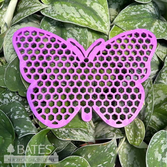 Butterfly Bee Pontoon