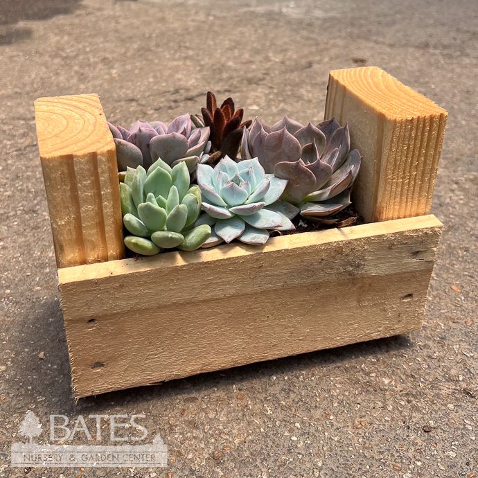 9P Wooden Planter w/ Succulents