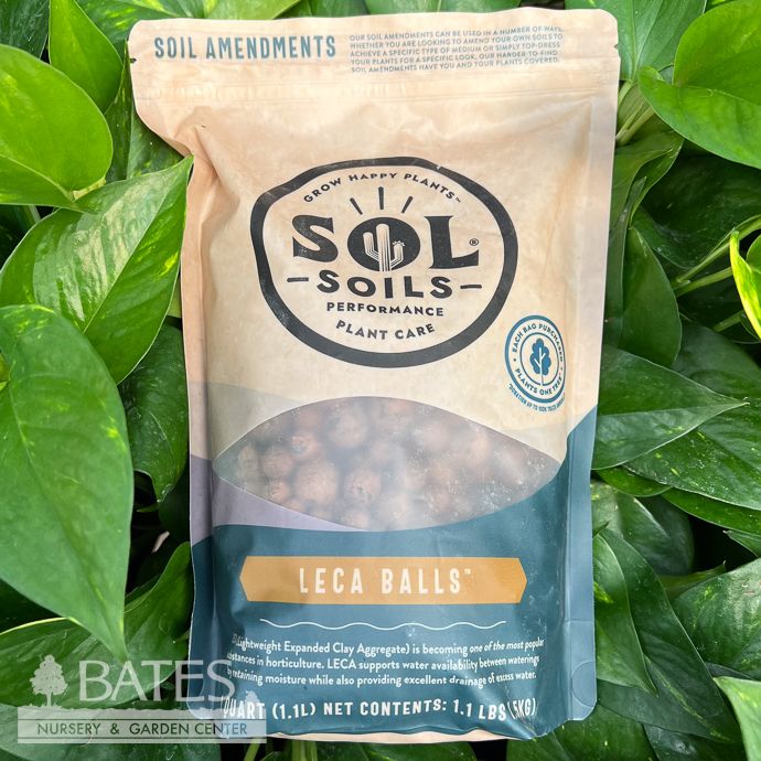 1Qt Leca Balls  Sol Soils