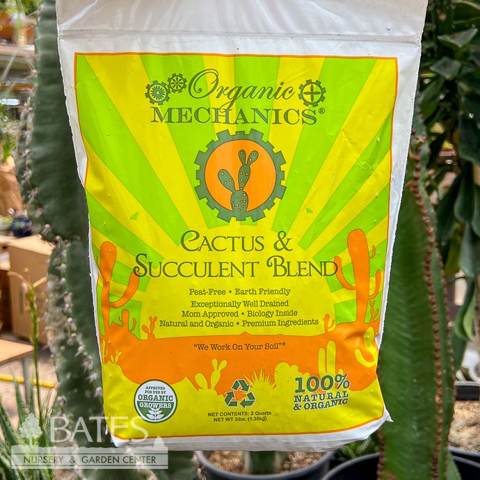 2Qt Organic Mechanics Cactus and Succulent Blend / Mix