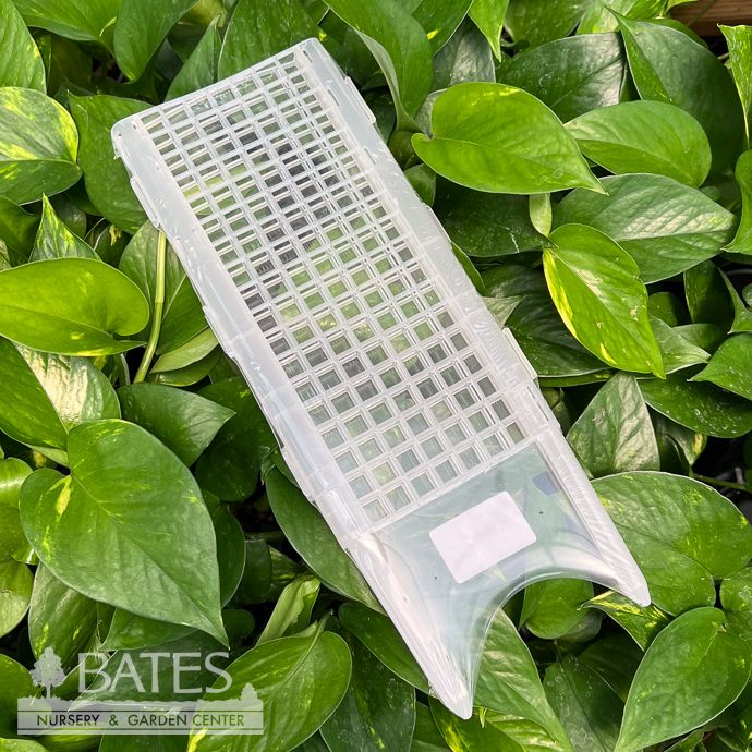 Pole Plastic Fillable Trellis  4.1x11.8&quot; add Moss for Houseplants / Vines Arcadia