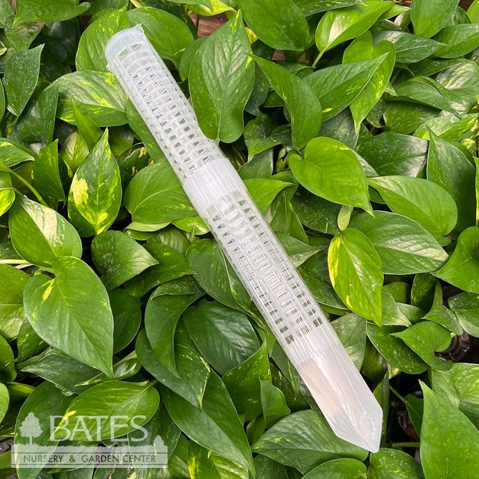Pole Plastic Fillable 1.5x17&quot; add Moss for Houseplants / Vines Arcadia