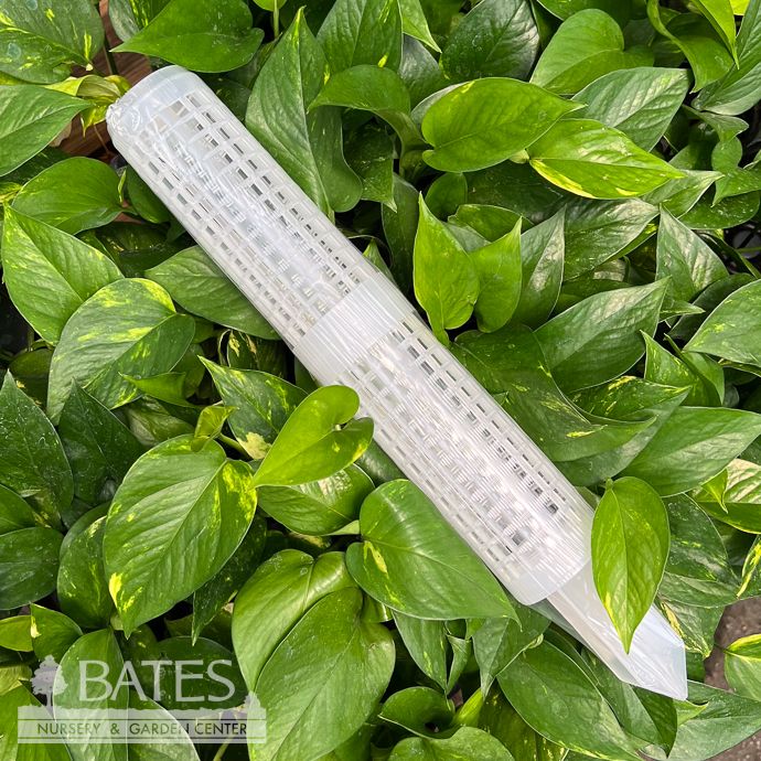 Pole Plastic Fillable 2.4x17&quot; add Moss for Houseplants / Vines Arcadia