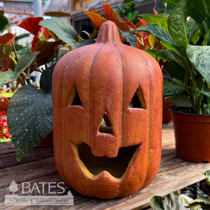 Luminary/Lantern Pumpkin Tall Jack 13x9 Orange Halloween/Fall Decor