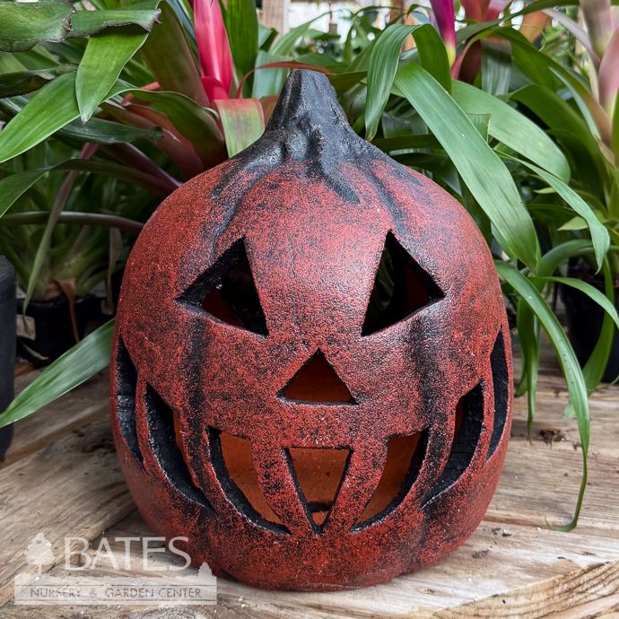 Luminary/Lantern Pumpkin Count Jack 10.5x12 Moss Orange Halloween/Fall Decor