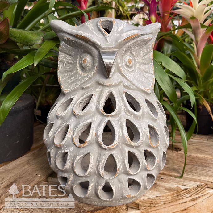 Luminary/Lantern Owl 11x15 Grey Halloween/Fall Decor