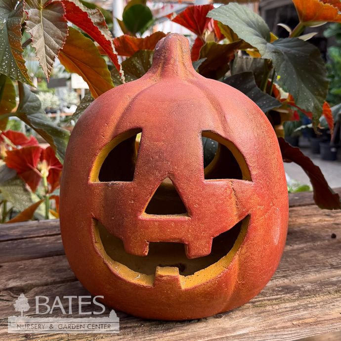 Luminary/Lantern Pumpkin Jack Medium 10x10x12 Orange Halloween/Fall Decor