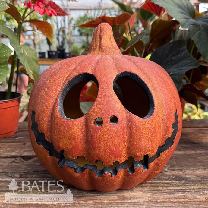 Luminary/Lantern Pumpkin Skull Jack 12x12x12 Orange Halloween/Fall Decor