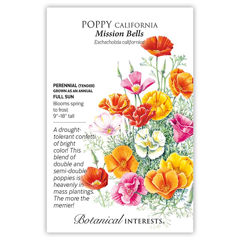 Seed Flwr Poppy California Mission Bells - Eschscholzia california
