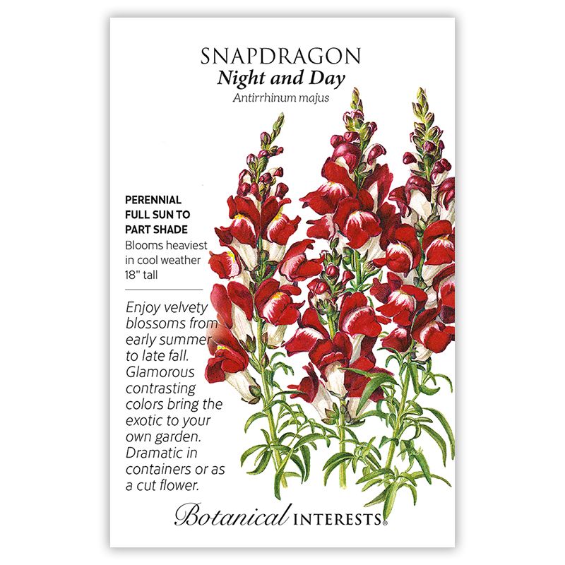 Seed Flwr Snapdragon Night and Day/ Red - Antirrhinum majus