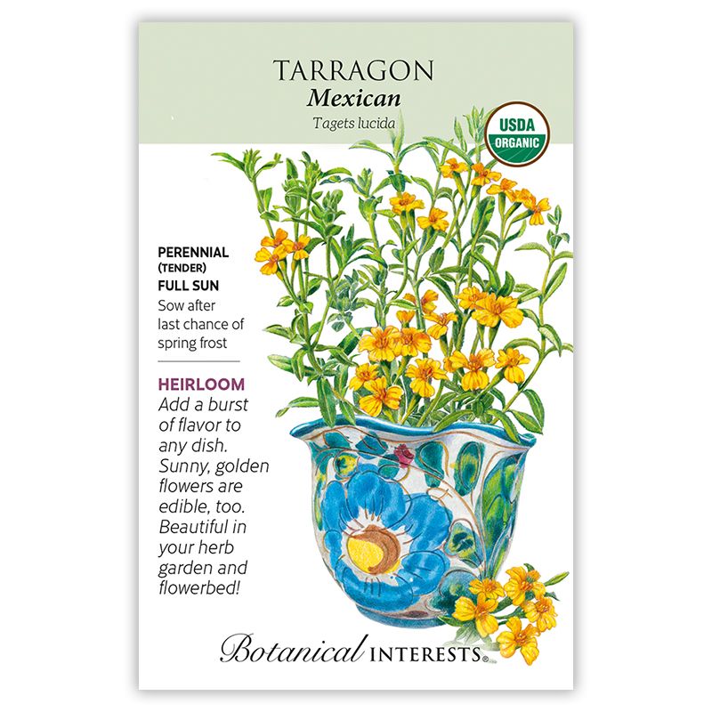 Seed Herb Tarragon Mexican Organic Heirloom - Tagetes lucida