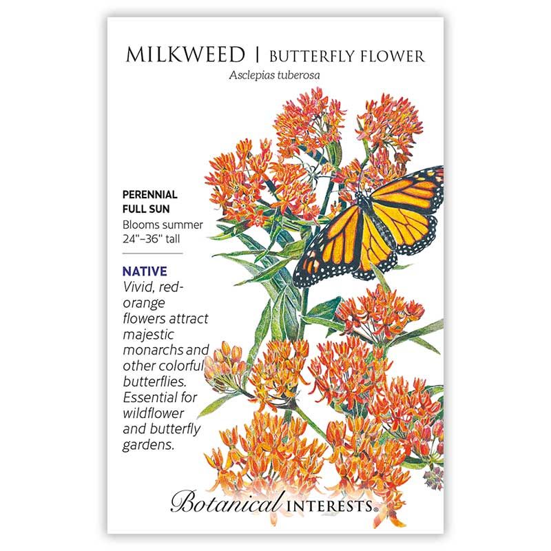 Seed Flwr Milkweed Butterfly Flower/  Heirloom - Asclepias tuberosa Native (TN)