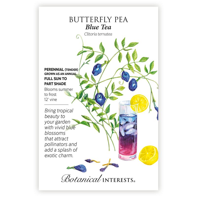 Seed Flwr Butterfly Pea Blue Tea - Clitoria ternatea