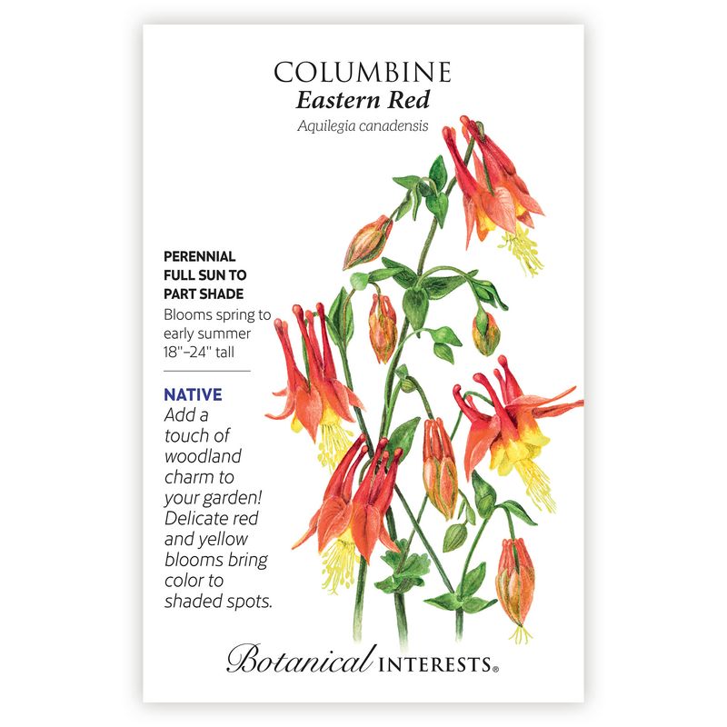 Seed Flwr Columbine Eastern Red - Aquilegia canadensis Native (TN)