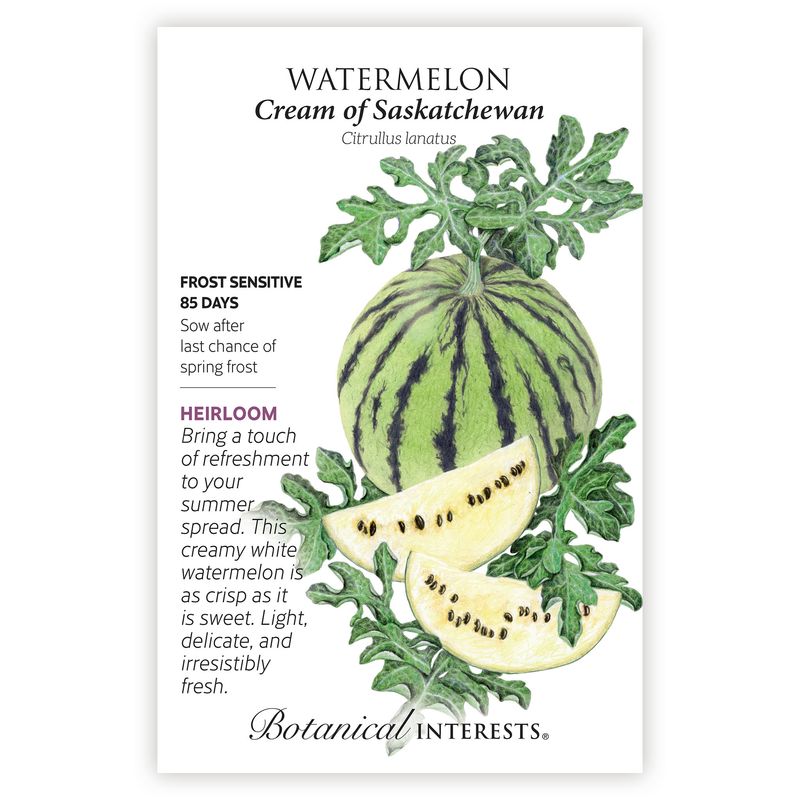 Seed Veg Watermelon Cream of Saskatchewan Heirloom - Citrullus lanatus