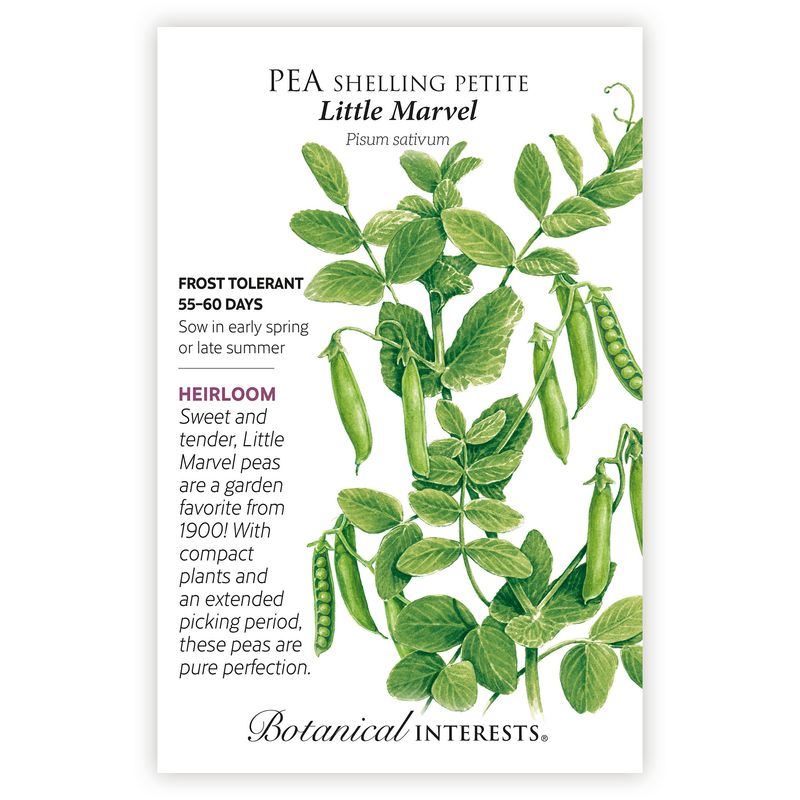 Seed Veg Pea Shelling Petite Little Marvel Heirloom - Pisum sativum