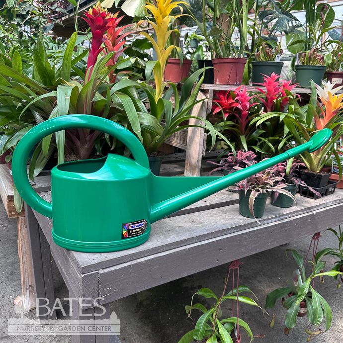 Dramm 5L Watering Can Green