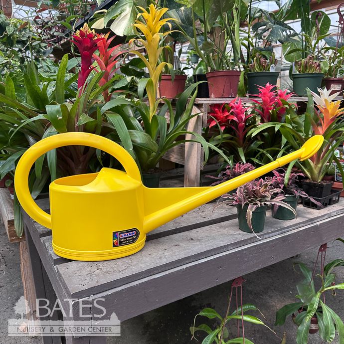 Dramm 5L Watering Can Yellow