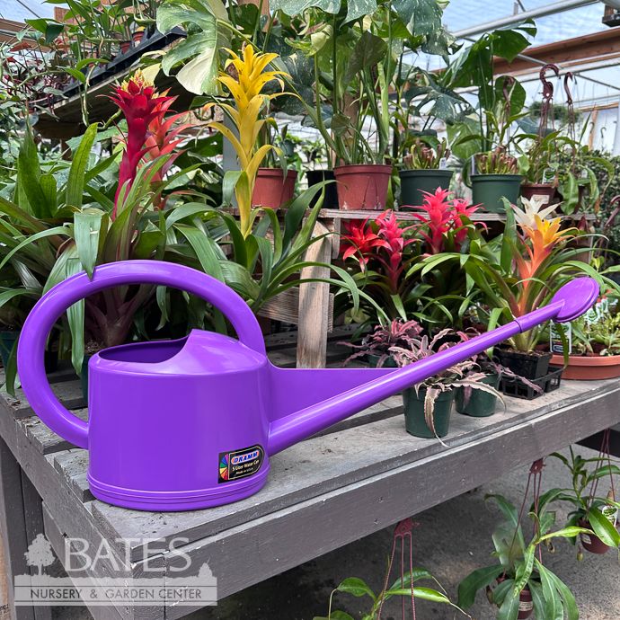 Dramm 5L Watering Can Purple