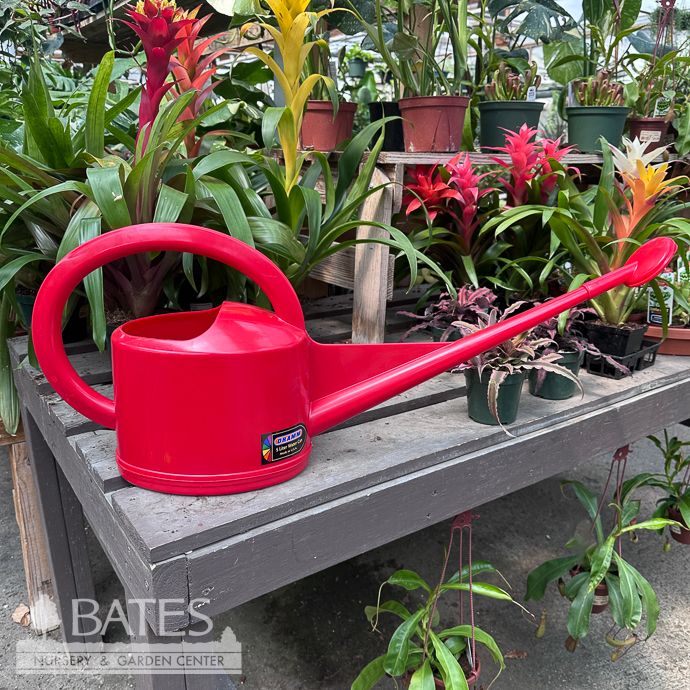Dramm 5L Watering Can Red