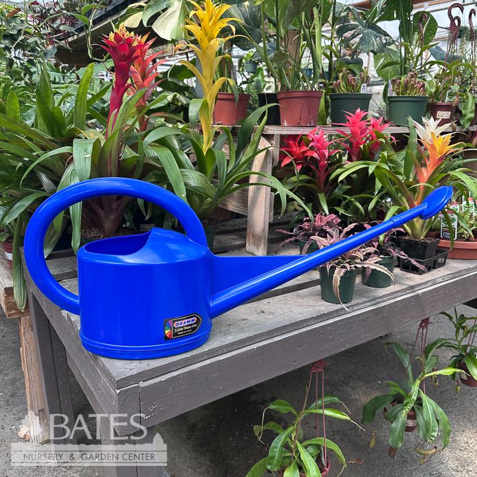 Dramm 5L Watering Can Blue