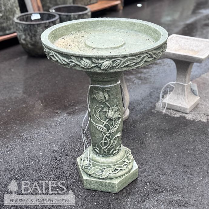 Birdbath Tulip Garden 25x18