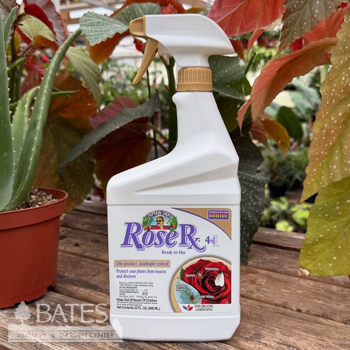 Rose Rx 4-in-1 1Qt RTU Insect-Mite-Fungicide-Nematicide Bonide