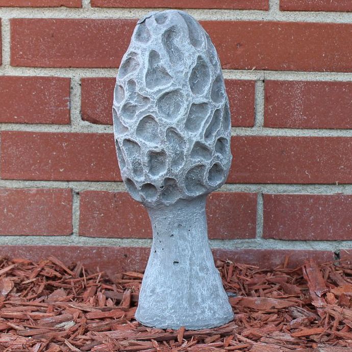 Statuary Medium Morel Mushroom 10H
