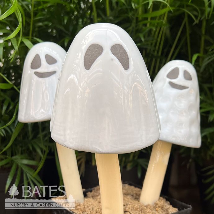 Halloween Ghostyz Medium Sml (MS) 12&quot;