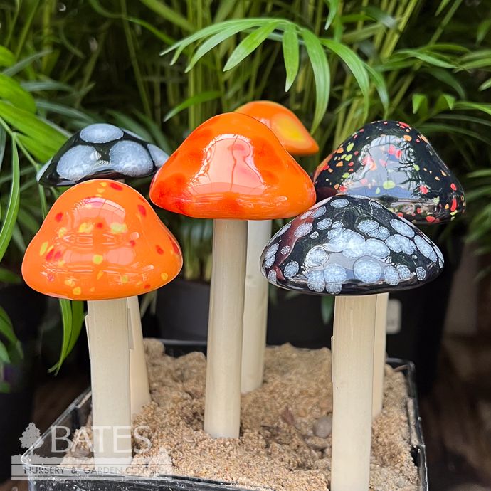Halloween Micro Shroomyz 6&quot;