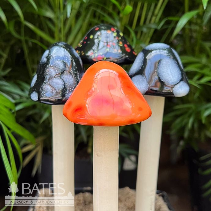 Halloween Shroomyz Mini (M) 7&quot;